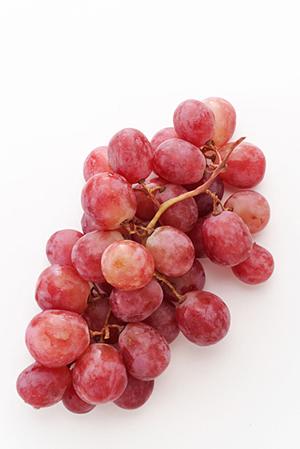 歌舞伎町で注目のホストクラブグループ