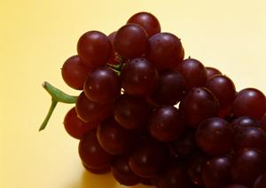 千葉にある気軽に泊まれるラブホテル